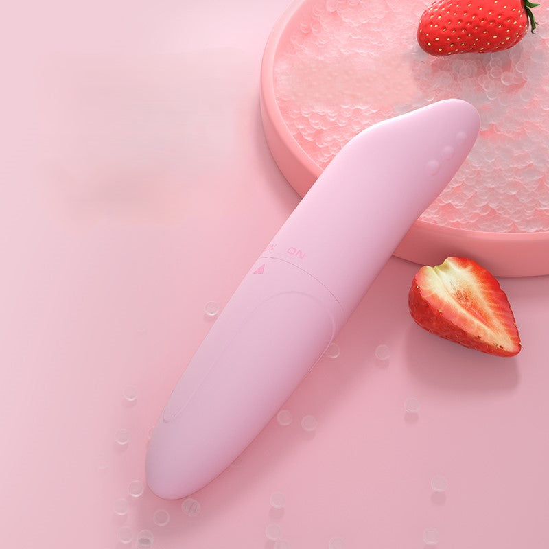 LILO Delphin Vibrierendes Ei