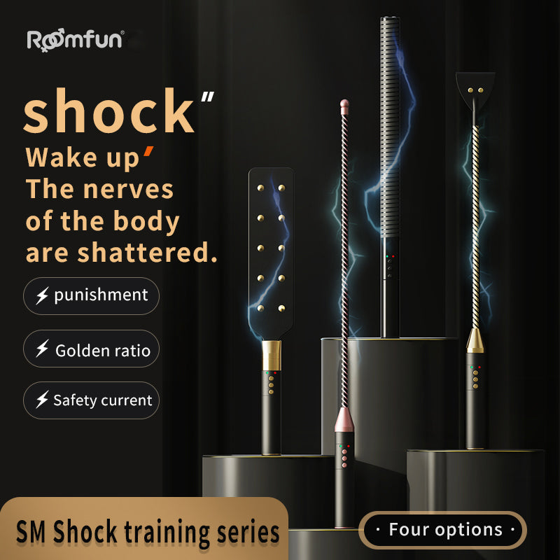 Roomfun Electric Shock BDSM Crop, Paddle, Cane & Stick Set