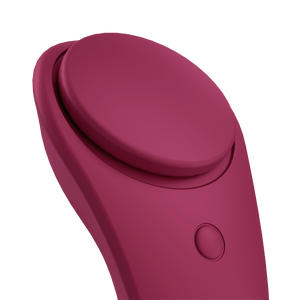 Satisfyer Sexy Secret App-Controlled.