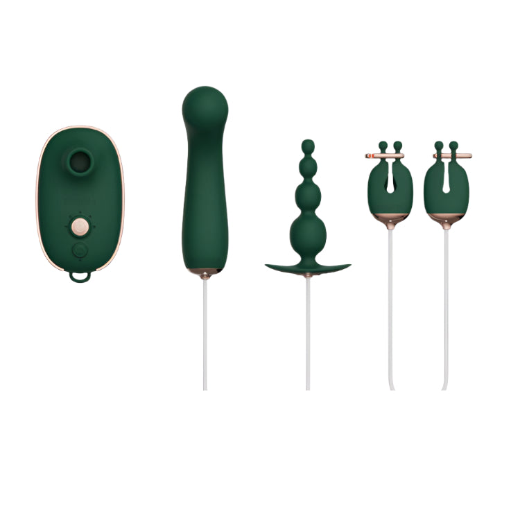 QINGNAN Quartet Sex Toy Kit for Clit, G-Spot, Anal & Nipples