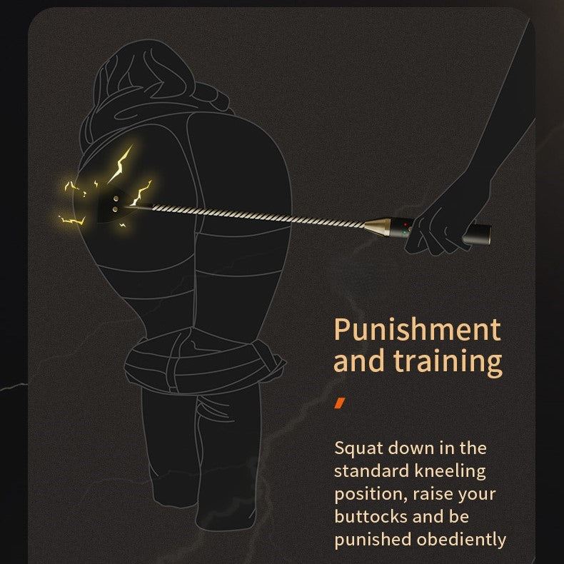 Roomfun Electric Shock BDSM Spanking Crop