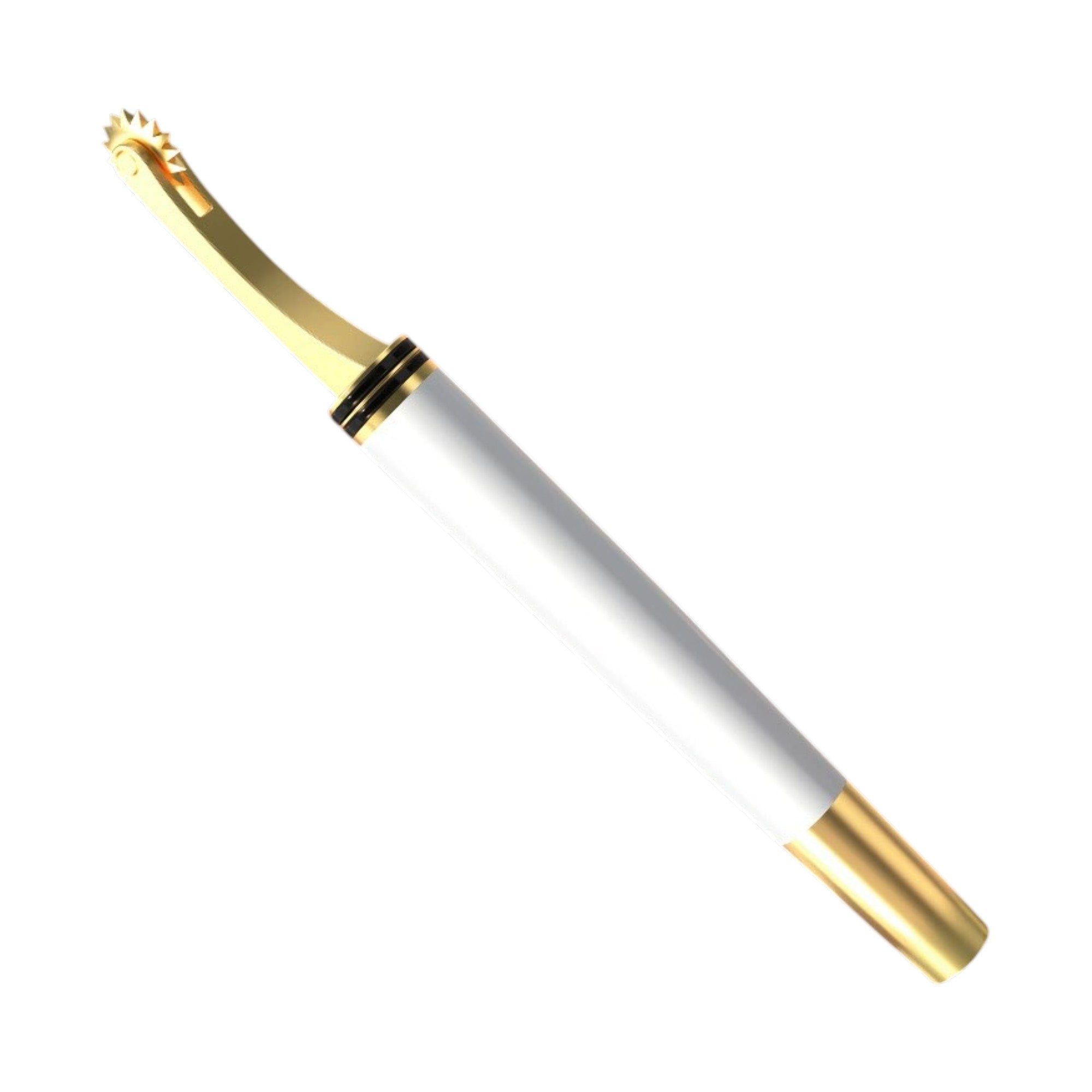 Roomfun Pen-Style Stainless Wartenberg Pinwheel